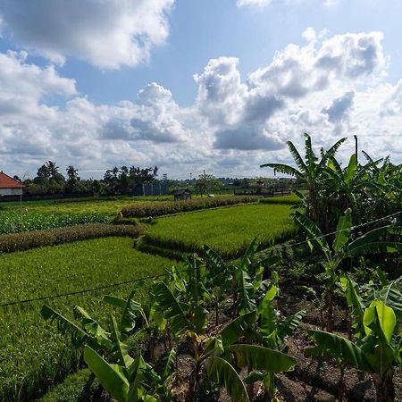 Villa Oemah Joglo Bali à Ubud Extérieur photo