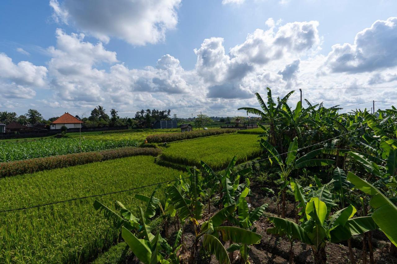 Villa Oemah Joglo Bali à Ubud Extérieur photo