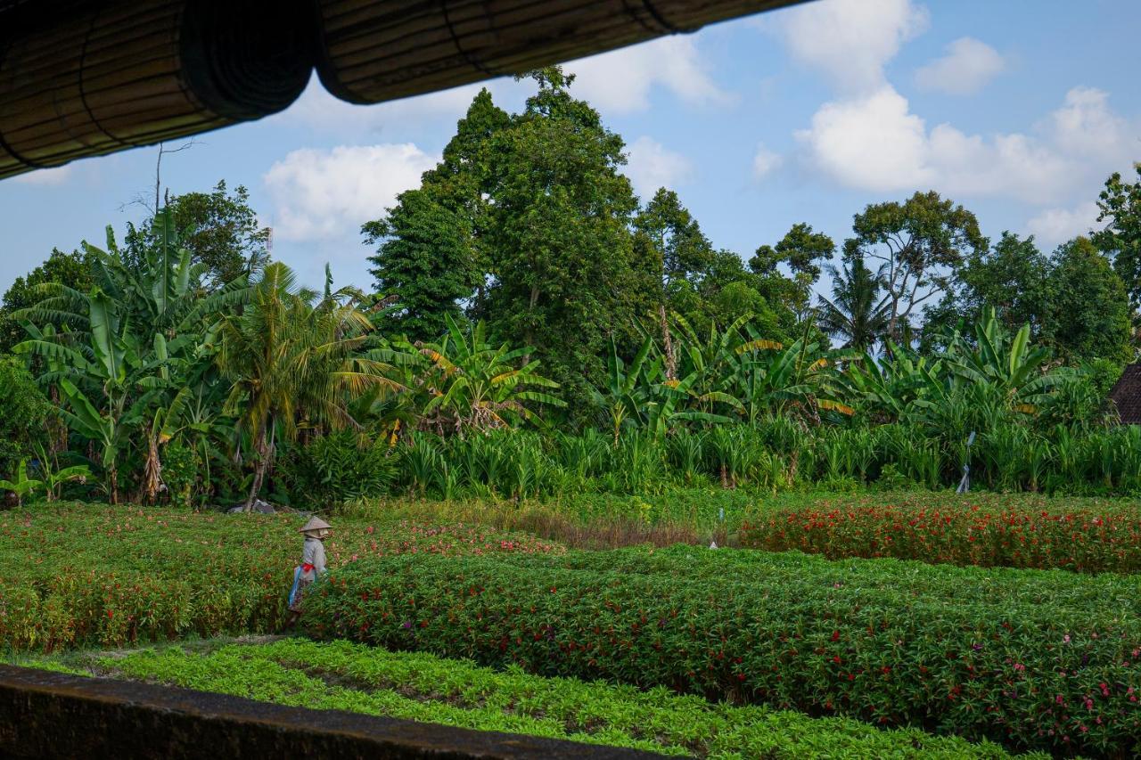 Villa Oemah Joglo Bali à Ubud Extérieur photo